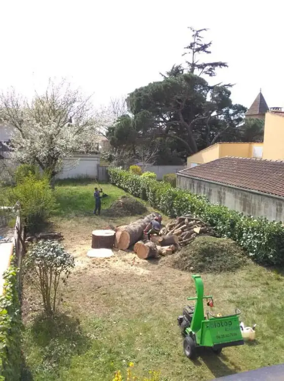 Traitement éco-responsable des résidus de bois