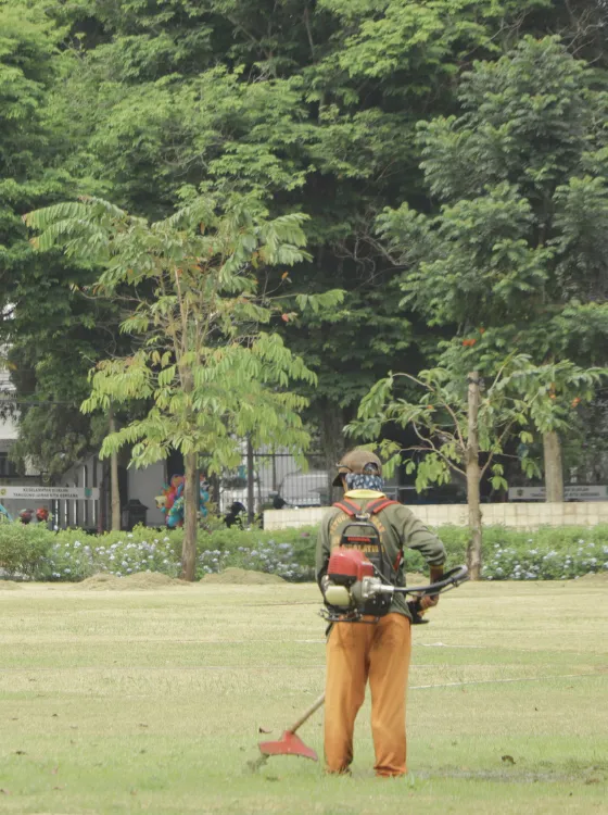 Terrain dégagé et valorisé