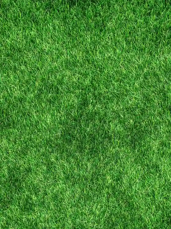 Finition et roulage de gazon