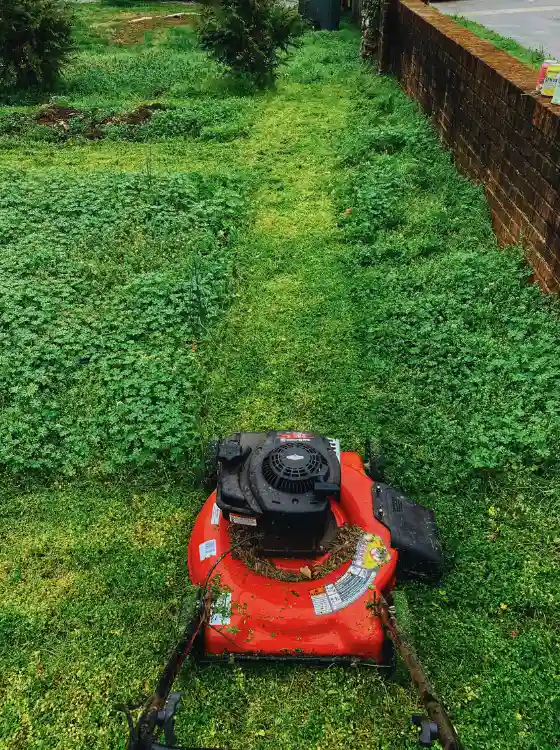 Finitions des bordures de jardin