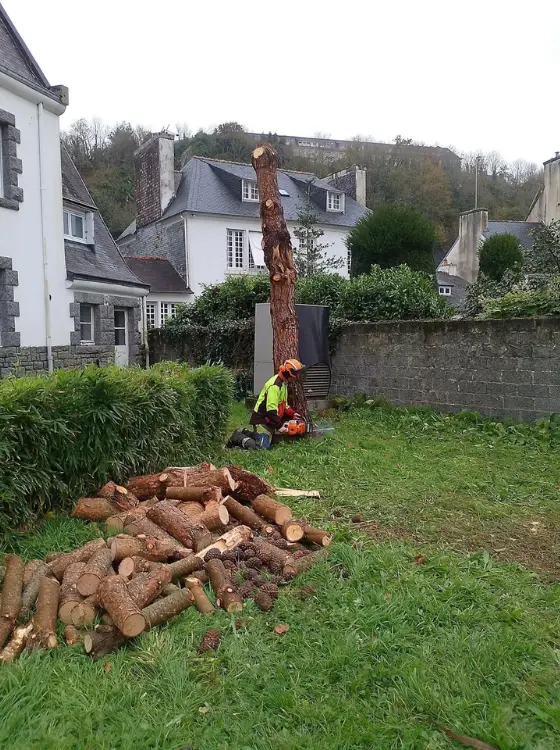 Valorisation des déchets verts en bois de chauffage